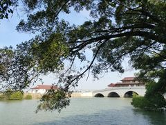-大湾区中央湿地公园