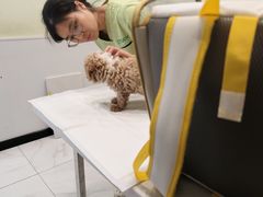 -艾吉宠物医院·疑难杂症转诊中心·猫友好(碧江路院)