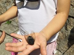 -碓臼峪自然风景区