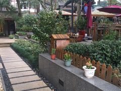 庭院-西湖茶墅