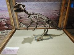 -国家自然博物馆