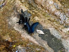 -广州白江湖森林公园