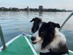 -老牌坊鲁菜名店(聊城美食岛店)