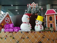 -中免(澳门机场免税店)