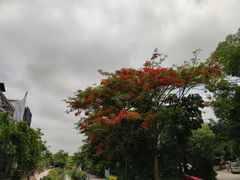 -黄埔古港