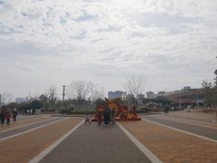 -九龙湖公园