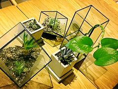 -柴务处·柴犬主题狗咖