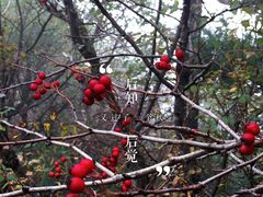 -牛背梁国家森林公园