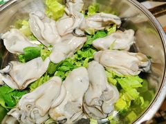 生蚝-丰尔粥食·粥底火锅·桑拿鸡(大良总店)