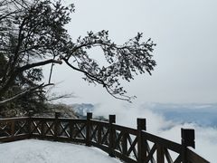 -云顶茶乡景区