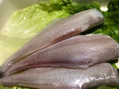 拨皮鱼-海底捞火锅(群光广场店)