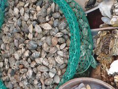 海鲜蛤蜊-生鲜便民超市(蚌埠店)