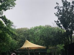 -WeLope紫金山探险公园