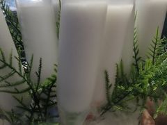 -探窝·竹笙椰子鸡(杨箕店)