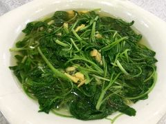 鸡汤菜苗-盆满钵满·国家非遗传承(云台店)