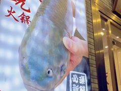 -正能量脆肉鲩火锅