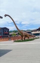 -恐龙探索乐园(磁器口店)