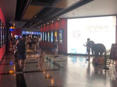 -万达影城(锦华万达广场IMAX店)