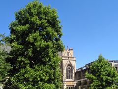 -牛津大学贝利奥尔学院