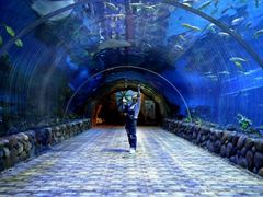 -华夏文旅海洋公园