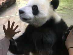 -海南热带野生动植物园