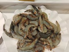 -好伦哥比萨烤肉自助(八里桥店)