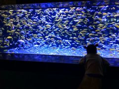 -成都浩海立方海洋公园