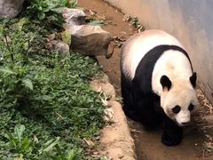 -南昌动物园