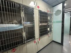-半岛宠物医院24小时(科华中路店)
