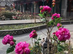 -白家大院·王府宫廷菜(苏州街店)