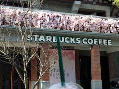 -星巴克臻选(思南公馆店)