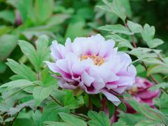 -幕燕滨江·长江观音景区