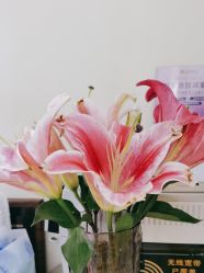 -海涛医疗美容·面部抗衰·注射美鼻