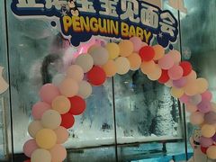 -帝企鹅自助餐厅•儿童岛•真企鹅(长隆企鹅酒店)