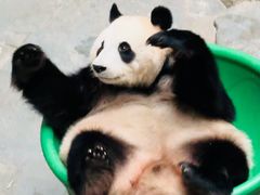 -天目湖御水温泉·度假酒店