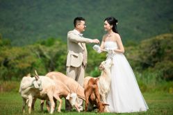 -麦田·婚纱摄影(天河新天地店)