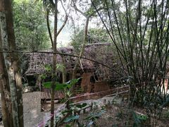 -海南槟榔谷黎苗文化旅游区