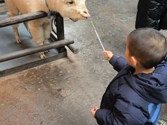 -哈尔滨波塞冬海底世界