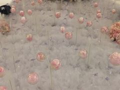 -金种子大酒店