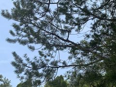 -山西乌金山旅游区