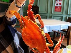 -开海·红岛海鲜虾水饺(石老人店)