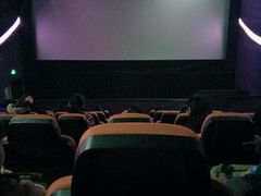 -天幕新彩云国际影城(激光巨幕店)