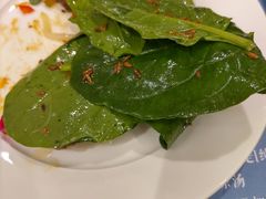 孜然菠菜-子霖南山鲜虾面(南山总店)