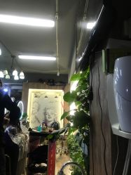 -东方美妍