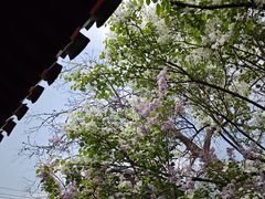 -北京鲁迅博物馆(北京新文化运动纪念馆鲁博馆区)