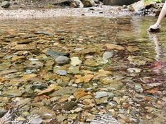 -西岭雪山大飞水景区
