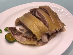 -新吉士·上海菜(浦东LCM置汇旭辉店)