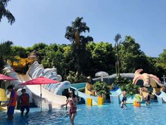 -重庆海昌加勒比海水世界