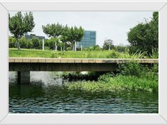 -同济大学(嘉定校区)