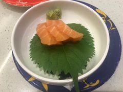 三文鱼生鱼片-京樽回転寿司(奥林匹克店)